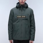 Napapijri RAINFOREST OPEN WINTER Veste d'hiver dark green/vert ZALANDO.FR